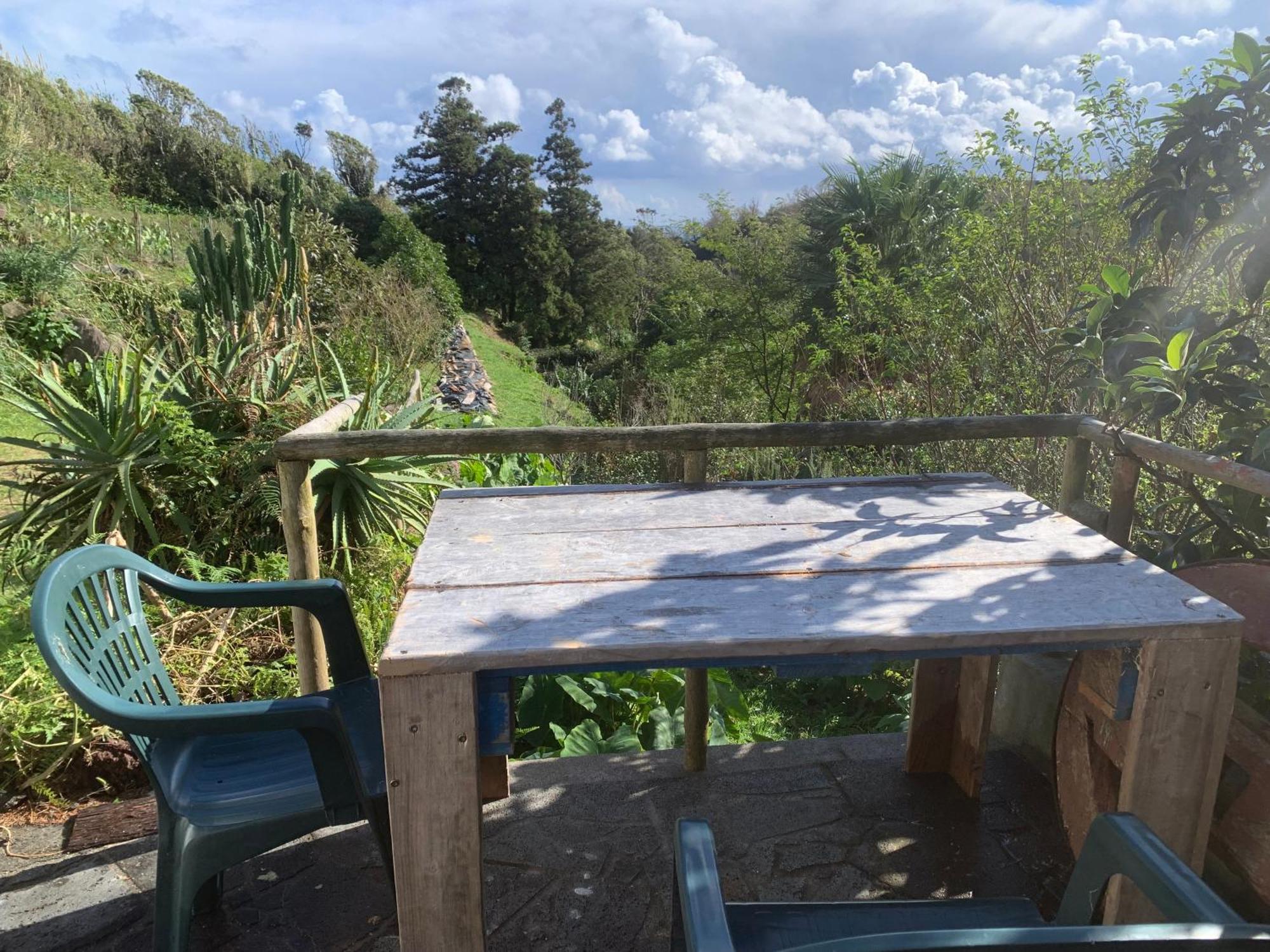 House With Forest View Lajes das Flores Bagian luar foto